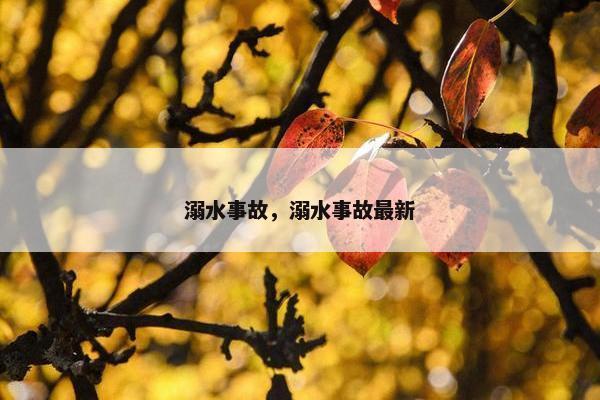 溺水事故，溺水事故最新