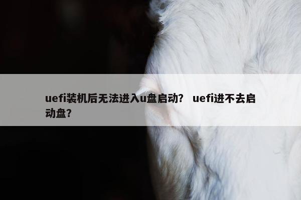 uefi装机后无法进入u盘启动？ uefi进不去启动盘？