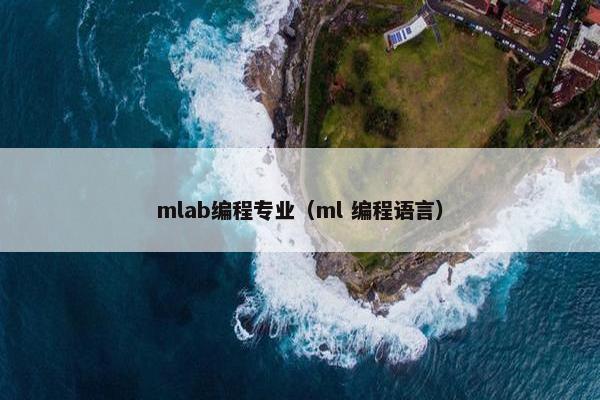 mlab编程专业（ml 编程语言）