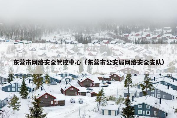 东营市网络安全管控中心（东营市公安局网络安全支队）