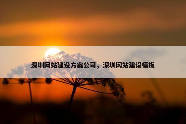 深圳网站建设方案公司，深圳网站建设模板