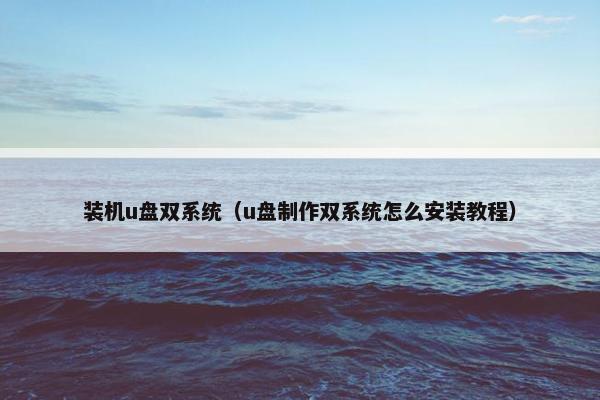 装机u盘双系统（u盘制作双系统怎么安装教程）