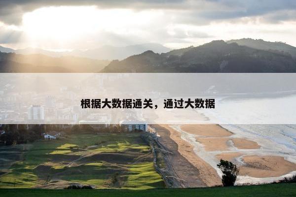 根据大数据通关，通过大数据
