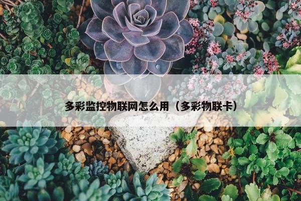 多彩监控物联网怎么用（多彩物联卡）