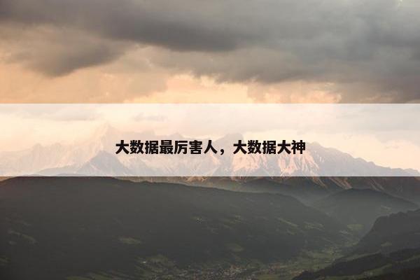 大数据最厉害人，大数据大神