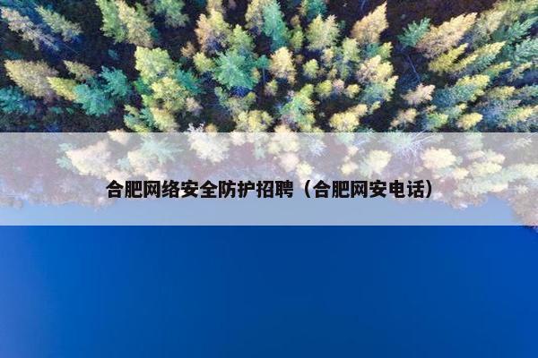 合肥网络安全防护招聘（合肥网安电话）