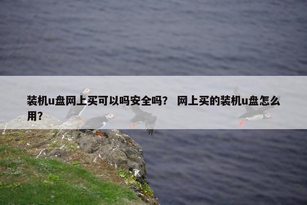 装机u盘网上买可以吗安全吗？ 网上买的装机u盘怎么用？