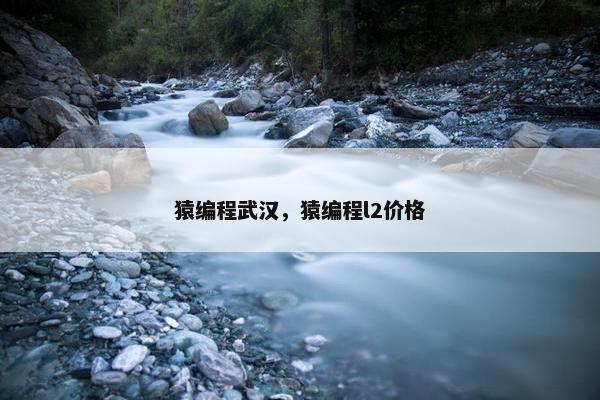 猿编程武汉，猿编程l2价格