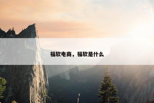 福软电商，福软是什么