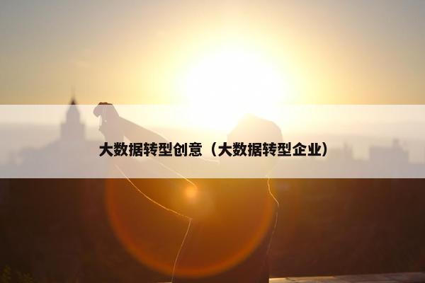 大数据转型创意（大数据转型企业）