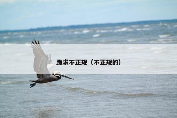 跪求不正规（不正规的）