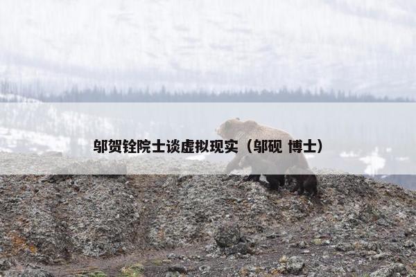邬贺铨院士谈虚拟现实（邬砚 博士）