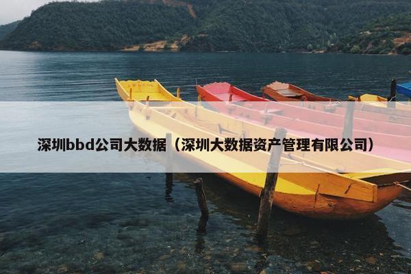 深圳bbd公司大数据（深圳大数据资产管理有限公司）