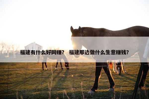 福建有什么好网赚？ 福建那边做什么生意赚钱？