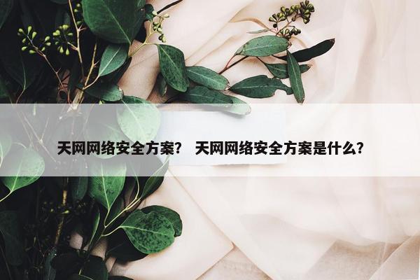 天网网络安全方案？ 天网网络安全方案是什么？