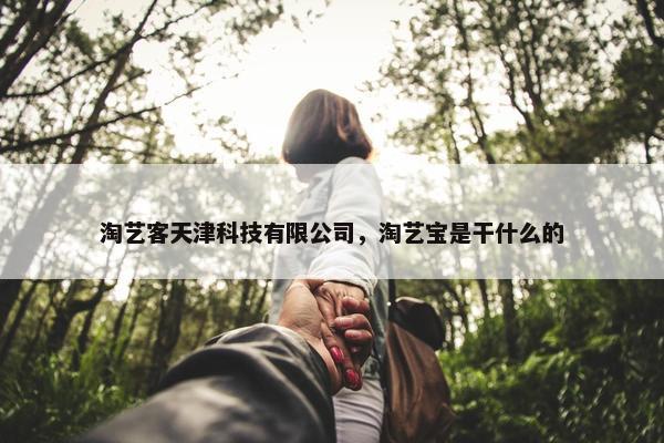 淘艺客天津科技有限公司，淘艺宝是干什么的