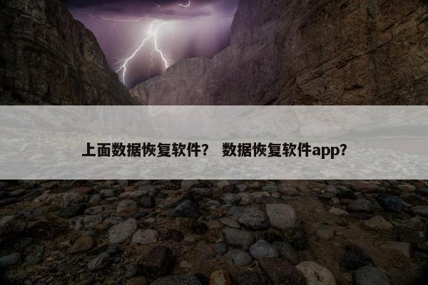 上面数据恢复软件？ 数据恢复软件app？