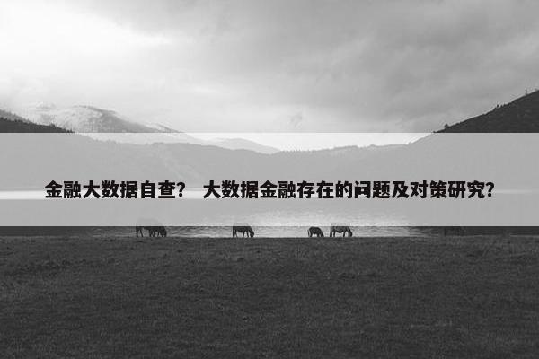 金融大数据自查？ 大数据金融存在的问题及对策研究？