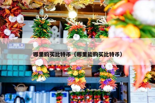 哪里购买比特币（哪里能购买比特币）