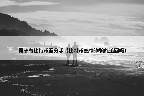 男子有比特币而分手（比特币感情诈骗能追回吗）