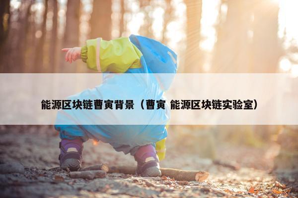能源区块链曹寅背景（曹寅 能源区块链实验室）