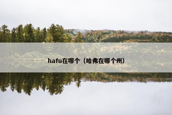 hafu在哪个（哈弗在哪个州）