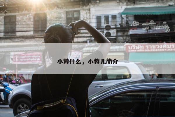 小蓉什么，小蓉儿简介