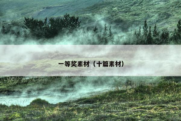 一等奖素材（十篇素材）