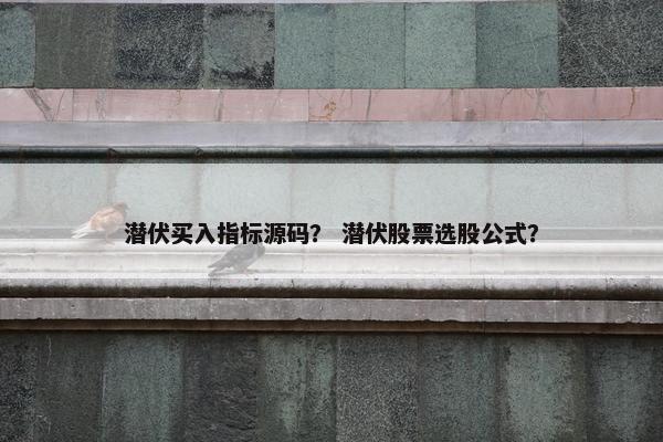 潜伏买入指标源码？ 潜伏股票选股公式？