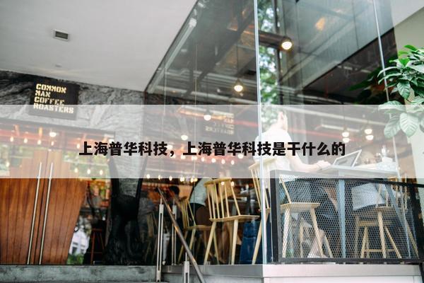 上海普华科技，上海普华科技是干什么的