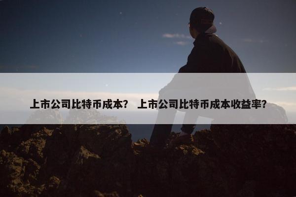 上市公司比特币成本？ 上市公司比特币成本收益率？