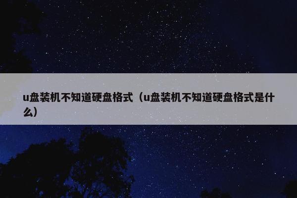 u盘装机不知道硬盘格式（u盘装机不知道硬盘格式是什么）