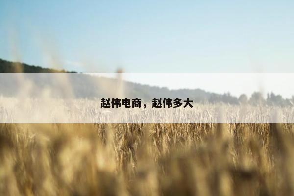 赵伟电商，赵伟多大