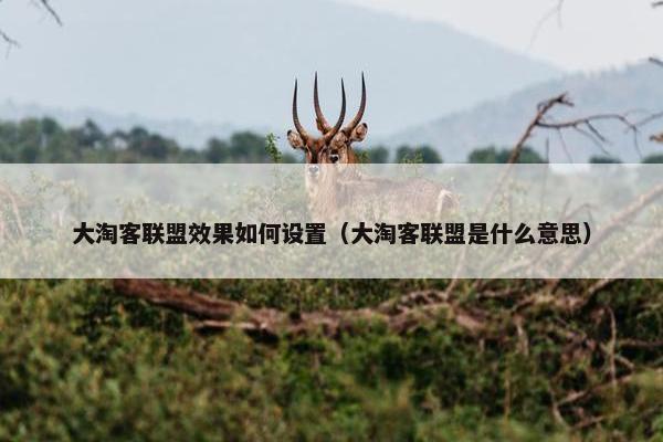大淘客联盟效果如何设置（大淘客联盟是什么意思）