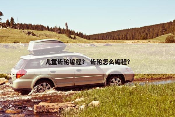 儿童齿轮编程？ 齿轮怎么编程？