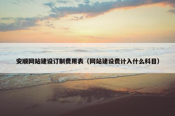 安顺网站建设订制费用表（网站建设费计入什么科目）