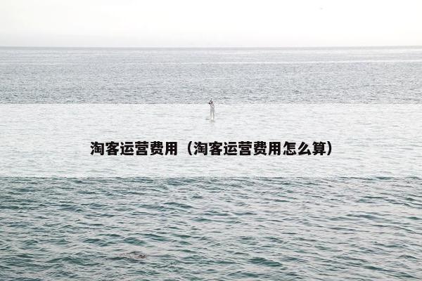 淘客运营费用（淘客运营费用怎么算）