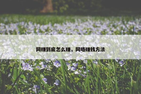 网赚到底怎么赚，网咯赚钱方法