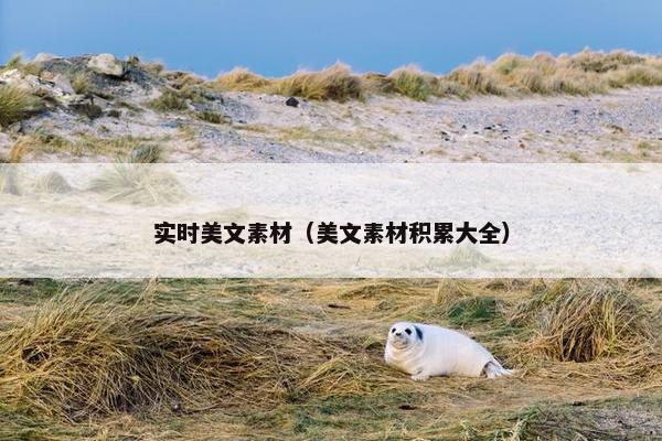 实时美文素材（美文素材积累大全）
