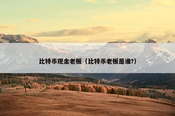 比特币现金老板（比特币老板是谁?）