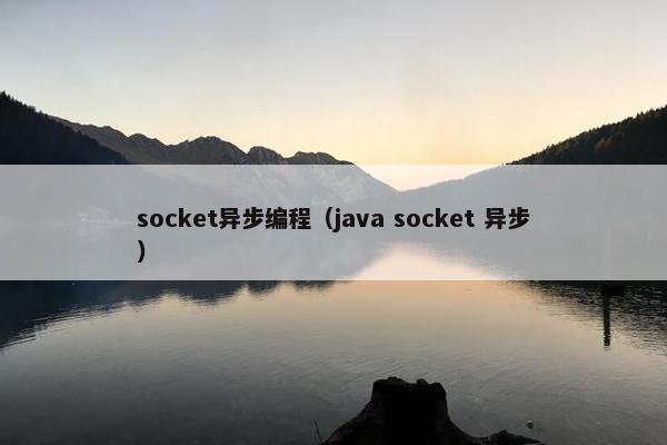socket异步编程（java socket 异步）