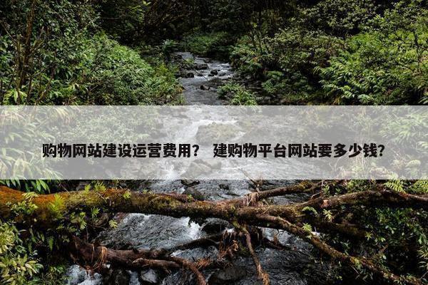 购物网站建设运营费用？ 建购物平台网站要多少钱？