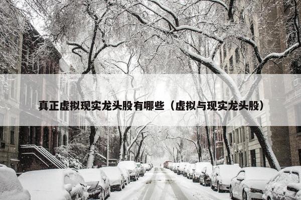 真正虚拟现实龙头股有哪些（虚拟与现实龙头股）