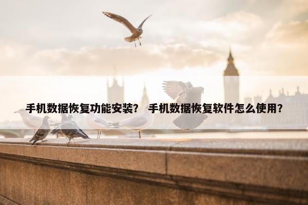 手机数据恢复功能安装？ 手机数据恢复软件怎么使用？