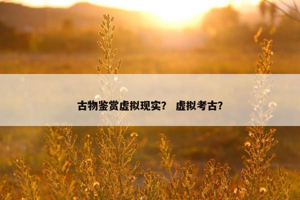 古物鉴赏虚拟现实？ 虚拟考古？
