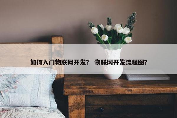 如何入门物联网开发？ 物联网开发流程图？