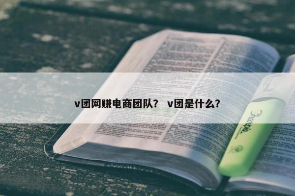 v团网赚电商团队？ v团是什么？