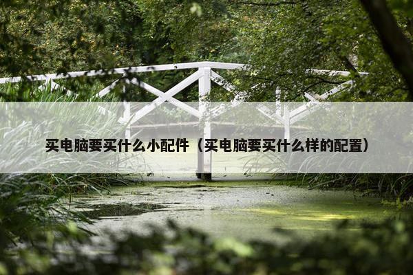 买电脑要买什么小配件（买电脑要买什么样的配置）