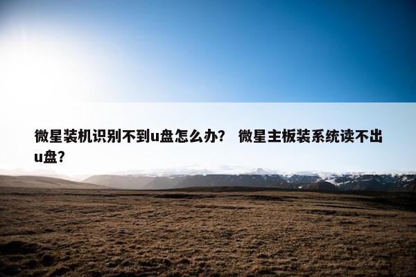 微星装机识别不到u盘怎么办？ 微星主板装系统读不出u盘？