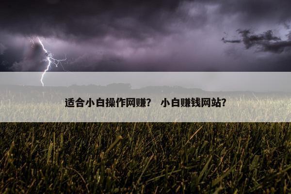 适合小白操作网赚？ 小白赚钱网站？